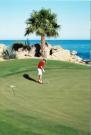 Apple Vacations: Mexico golf collection