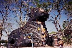 Nandi