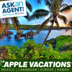 Ask Travel Agent