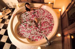 Mexico Wedding