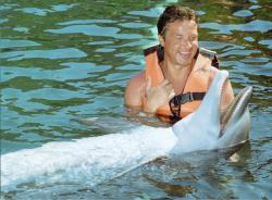 Dolphin Discovery
