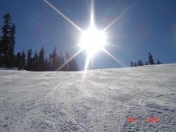 Aspen